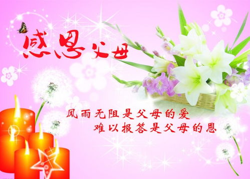 报恩的句子经典语句摘抄，报恩的句子经典 佛佑一生