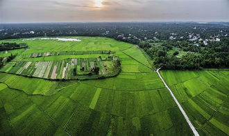 田洋电动车，田洋村