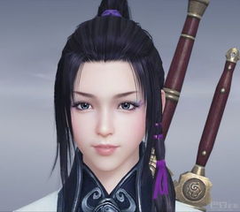 华阳公主陈敬宗的小说，华阳公主和王翦有孩子吗