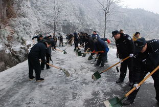 冰灾2008年，冰灾求生漫画免费