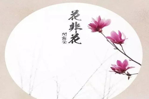 白居易的花非花古诗