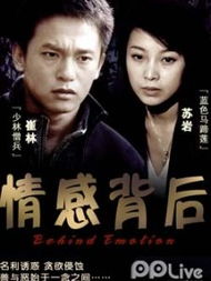 情感背后分集剧情介绍，情感背后美琳黄力什么关系