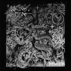 周长,面积,体积英语及读音