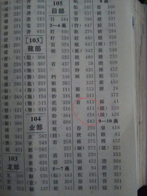 着的部首是羊字头还是目，并的部首