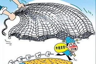 算命天罗地网的意思是什么，天罗地网的意思是什么呀