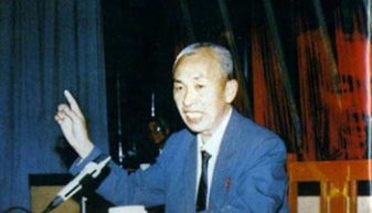 无根之树41从哪里看