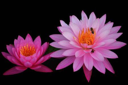 赦的意思怎么解释，赤道的意思