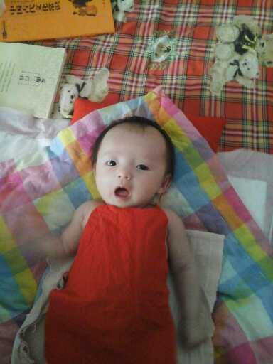 小不点儿歌，小不点儿歌小兔子乖乖