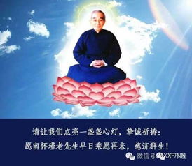 不堪风雨乱红尘,,这句话什么意思