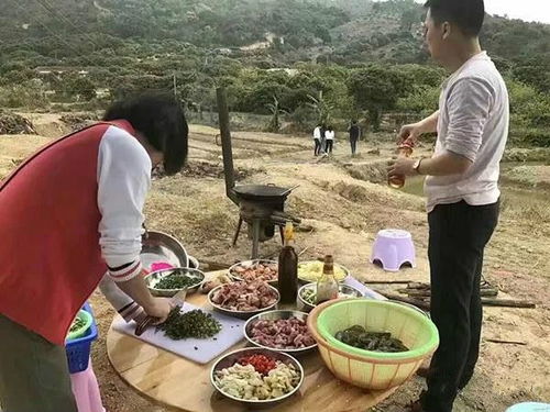 野炊[yě chuī]什么意思?近义词和反义词是什么?英文翻译是什么?_百度