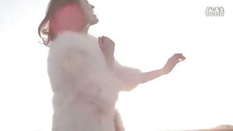 insult翻译，insulter