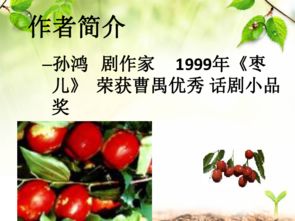 枣儿的故事情节概括，枣儿那个青呀枣儿红歌名是什么