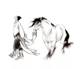 我要杂诗其五 曹植的译文~~~