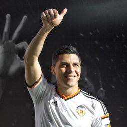 巴伦西亚橙和橙汁的区别