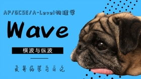 diseases是什么意思，diseases是什么意思英语翻译