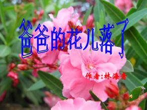 7年级语文下册课文《爸爸的花儿落了》原文