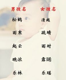 博学多识什么意思