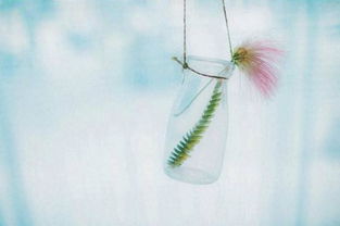 形容吵的句子短句，形容吵的句子30字