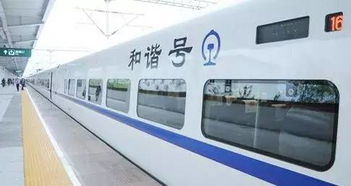 d2234动车经过哪些站?