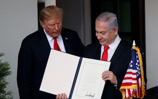 dispute的形容词，dispute的反义词