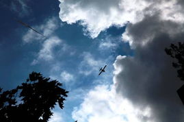 仰望天空的下一句是什么，仰望天空的意思