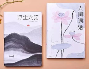 释怀是什么意思?