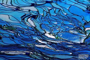 云南红河天气预报30天，云南红河天气预报7天查询