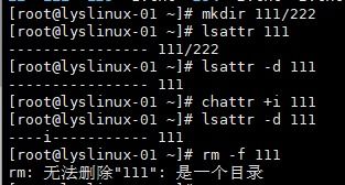 linux chattr命令怎么使用
