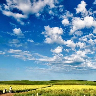 肩上的云这首歌表达什么意思，肩上的云原唱简谱