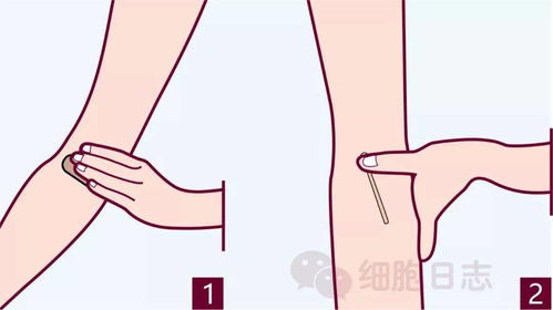 搓揉脚心的作用和方法