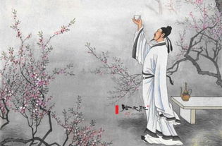 明明如月何时可掇什么意思 出自于哪里