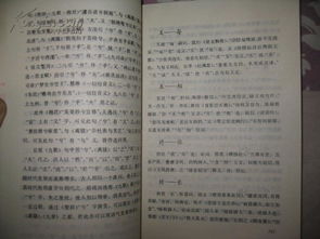 广组词有哪些词语