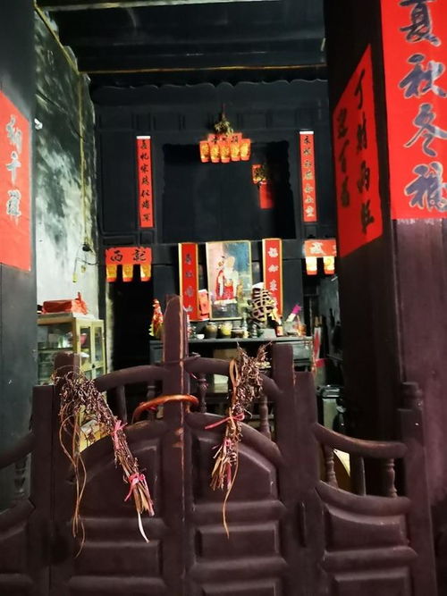 《市井人家(种田)》txt下载在线阅读全文,求百度网盘云资源