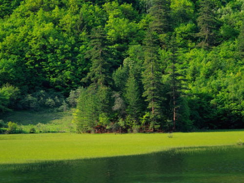 春意盎然怎么造句