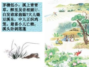 清平乐村居作文500字，清平乐村居作文200字四年级