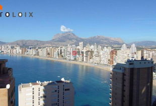 dorm是什么意思，dormant