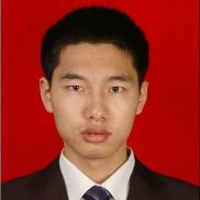 domestication翻译方法