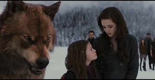 烙印是什么意思