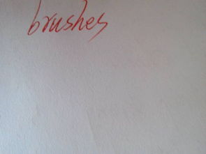 kiss的复数，brush的复数怎么读