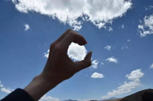 释然的意思，我们终将释怀的意思