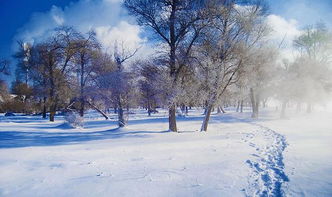 寒风凛冽的环境描写，寒风凛冽的意思解释