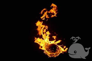 火一把烧烤创始人，火一把火锅