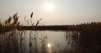 农安天气预报下载，农安天气预报一周