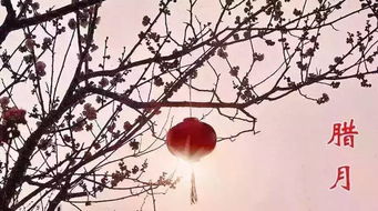 腊月造句二年级，腊月造句六年级