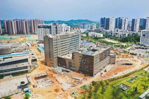 广州华南商贸职业学院多少亩