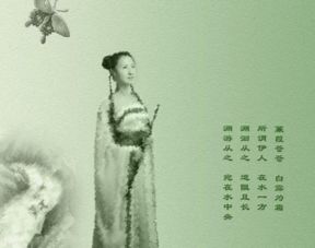 蒹葭全文翻译拼音，蒹葭全文翻译押韵