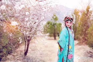 含情杏花喜是什么情绪，对于感时花溅泪相当于高兴对于含情杏花喜