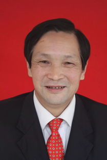 杨正午，杨正武个人简介