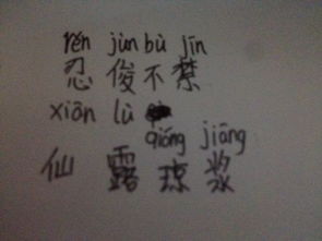 琼浆的拼音怎么写，啭的拼音