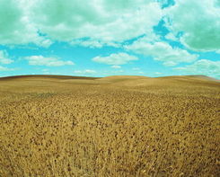 我们的家乡在希望歌曲原唱